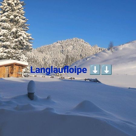 Haus Jessica Incl National Park Sommercard Mittersill Exterior foto