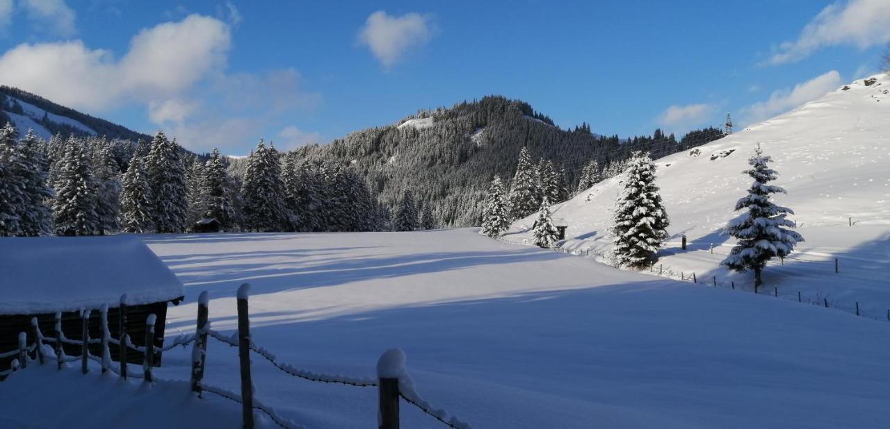 Haus Jessica Incl National Park Sommercard Mittersill Exterior foto