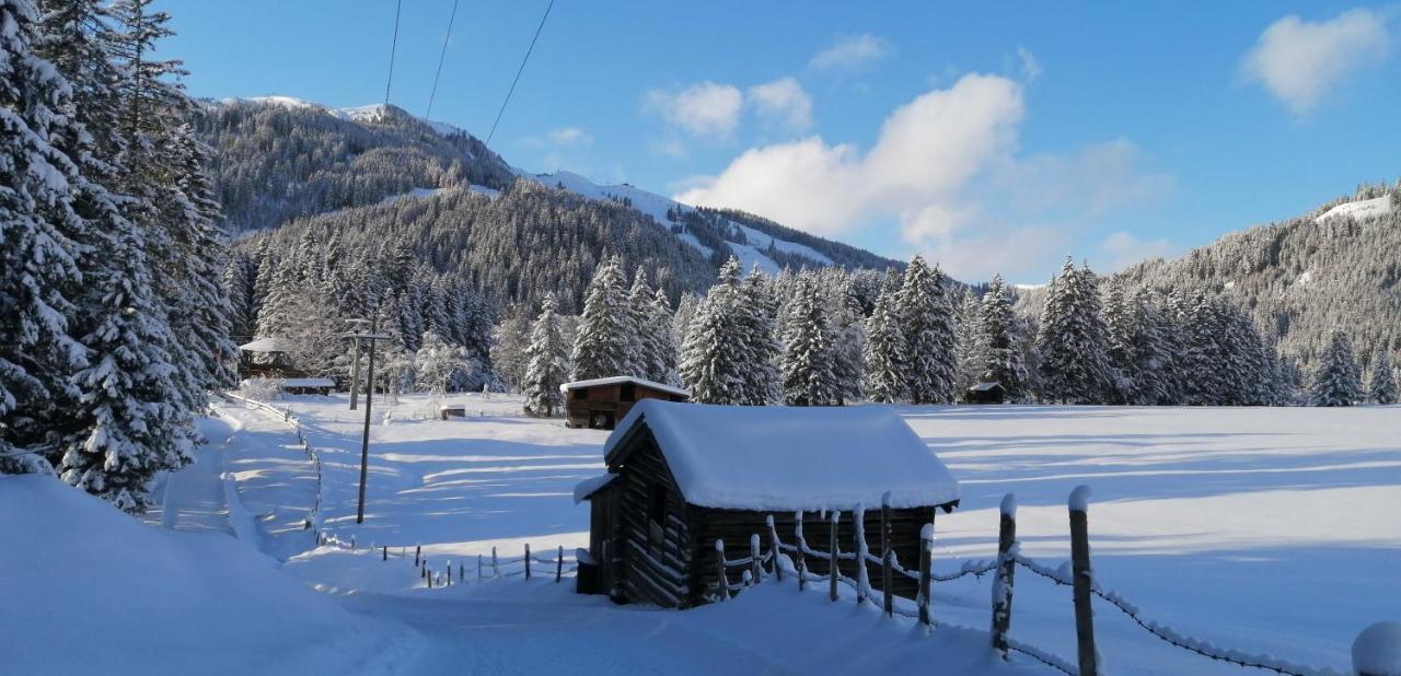 Haus Jessica Incl National Park Sommercard Mittersill Exterior foto