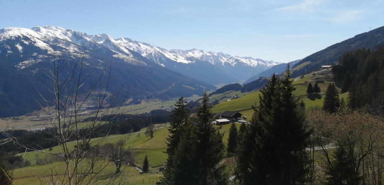 Haus Jessica Incl National Park Sommercard Mittersill Exterior foto