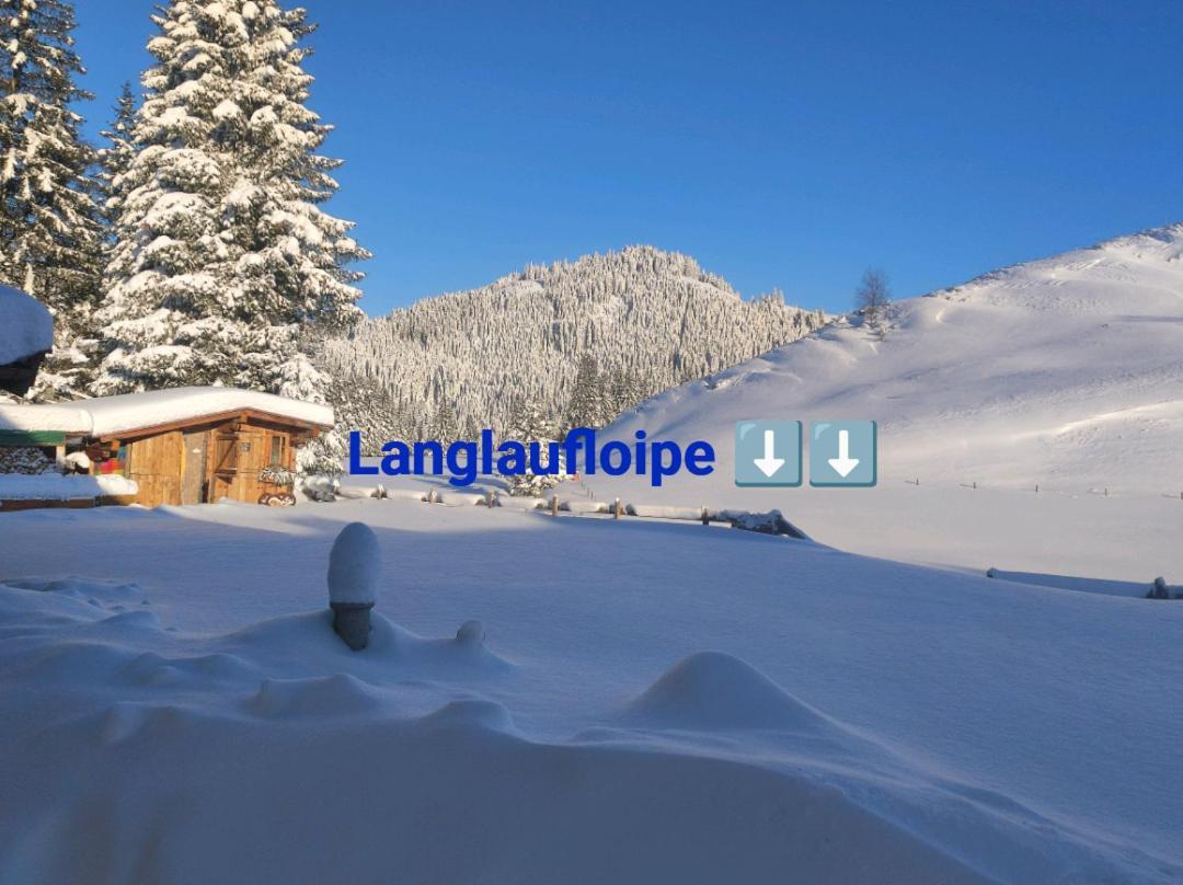 Haus Jessica Incl National Park Sommercard Mittersill Exterior foto